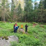 24667f7c-2efd-4854-a4a4-5afc25fd4037