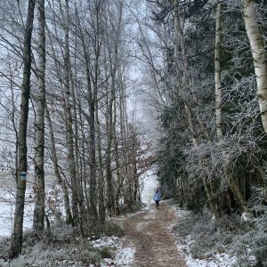 Wandeln Wandeln