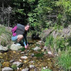 b09f4b40-1660-4f4a-99de-ea3628638690